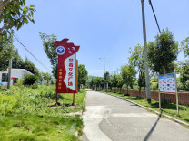 龙塘镇积极创建禁毒示范村，首个禁毒文化广场成靓丽风景线