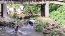 男孩在张家界景区被猴子攻击 景区回应：野生猴子不要逗喂