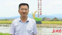 水稻生产全程机械化 助推粮食丰收