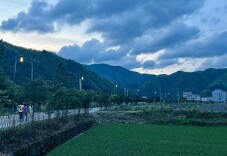 双牌阳明山村：225盏“小路灯”照亮乡村振兴“新画卷”