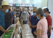 我县离退休干部观摩调研全县重点项目建设工作