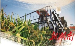 大道向前·跃上新高地丨誓为天下谋稻粱