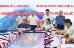 坚持“深、实、优” 勇当农村金融主力军和乡村振兴排头兵——桑植农商银行服务乡村振兴实践与经验