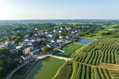 白塘镇：深耕产业发展  描绘幸福画卷