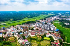 大荆镇：瓜菜之乡蕴新机 美丽乡村展画卷