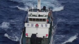 邂逅“小可爱”！海警巡航西沙偶遇近70只海豚