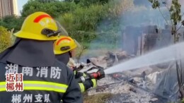 郴州一老人烧马蜂窝结果把房子烧没了 消防：遇到马蜂窝可拨打119