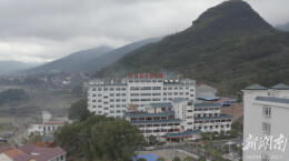 蛇出没！双牌蛇伤科提醒大家要正确处置蛇伤 及时就医