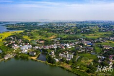 三塘镇：藠头掀起振兴浪