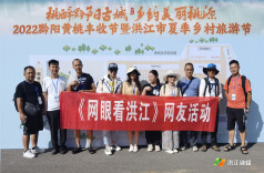 【网眼看洪江】又到“黔阳黄桃”飘香时