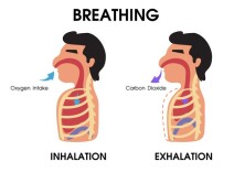 常做呼吸锻炼，增加活动耐力