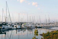 2022首届湖南·岳阳“洞庭渔火季”即将火爆来袭