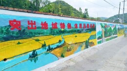 全域文明创建在行动丨凤凰县千工坪镇：  推进“美丽墙”设计，打造“高颜值”乡村