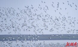 奋进新征程 建功新时代·非凡十年丨一江碧水向东流