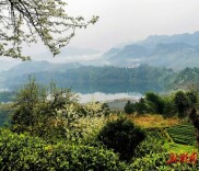 散文丨张永中：向时光深处老去