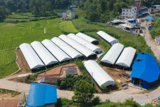 泸溪：小菌棒撑起乡村振兴致富伞