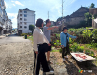 干群合力攻坚！ 奏响人居环境整治“最强音”