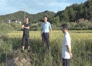 黄力调研水利抗旱工作