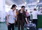 黄峥嵘来安调研重点项目、乡村振兴等工作