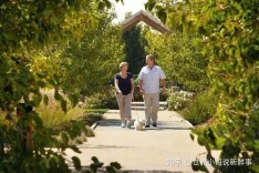 缴满15年社保，能不能“躺平养老”？一文解答！