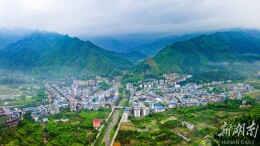 大庙口镇：“绿色”产业抒写振兴华章