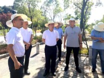 以“时时放心不下”的责任感 推动工作再上新台阶