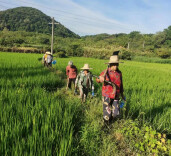 为有源头“活水”来 云溪区路口镇南山村60余名党员群众齐心抗旱保生产