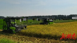 “致力绿色安全 共建洞庭粮仓”益阳峰会隆重召开