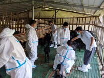 双牌积极开展羊布病采样检测 惠百姓保健康