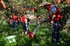 凤凰：3.3万志愿者助农抗旱解民忧 志愿服务暖人心