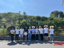 他山之石，可以攻玉——省科技厅驻村工作队带领村支两委开展乡村振兴交流学习