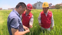 “电骆驼”助力农田“解渴”