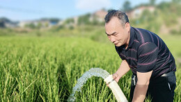 种粮大户抗旱忙