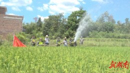 【战高温 抗旱情】县人武部组织民兵抗旱保收