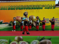 长沙市凤凰商会助力凤凰县胜花村发展特色农产业