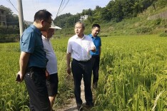 刘杰：统筹调配抗旱力量,最大限度降低旱情对群众生产生活的影响