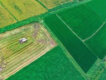 让研究生在农业一线研究实际问题，湖南将建17个科技小院