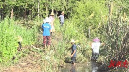 【战高温 抗旱情】他们在行动······