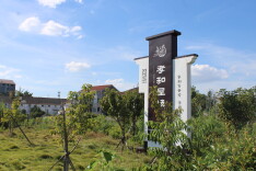 岳阳经开区：乡村治理“步步生廉”