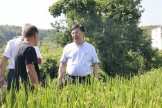 邹文辉到涟源市调研防旱抗旱工作