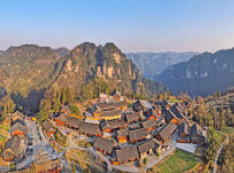 湖南农业农村发展取得显著成效