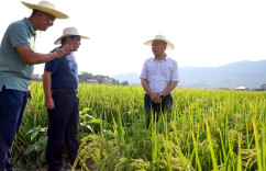 李彦文：精准精细落实抗旱措施 确保秋粮稳产稳收