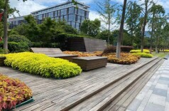 我国“口袋公园”建设快速发展　目前已建设和改造近3万个