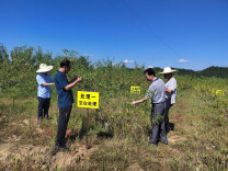 抗旱保收 湖南科技特派员在行动