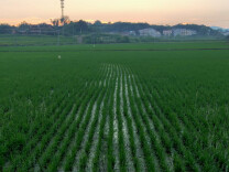 “田管家”上阵 “老大难”下岗