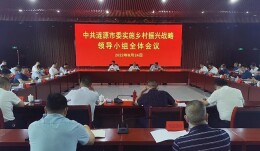 涟源市委实施乡村振兴战略领导小组举行全体会议