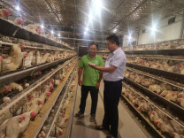 永顺农商银行：助力养殖户抢抓“鸡”遇 “贷”动致富增收