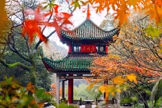 关于征集《岳麓山风景名胜区保护条例》立法后评估项目公众意见的公告