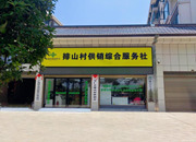 安仁县排山村：供销惠农综合服务公司  助力村集体经济增收