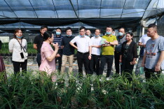 民营企业与通道县“联姻”，助力县域经济高质量发展